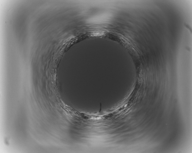 X0000099381441200805291119