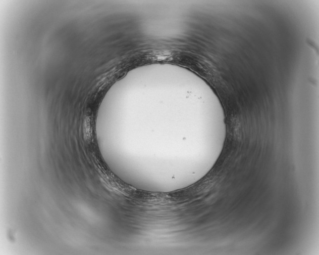 X0000099381442200805291119