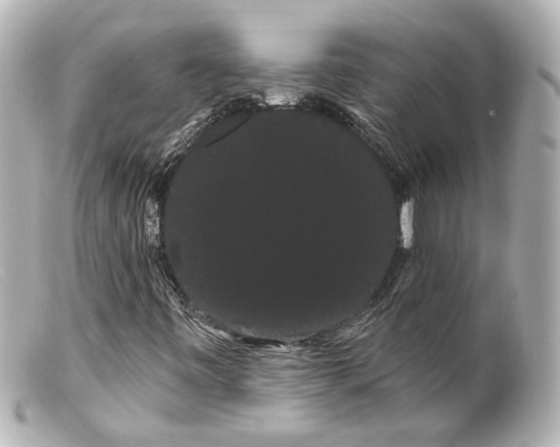 X0000099381443200805291119