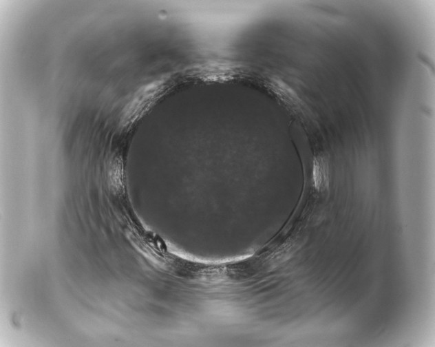 X0000099381444200805291119