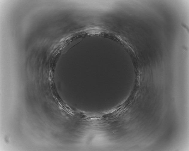 X0000099381445200805291119