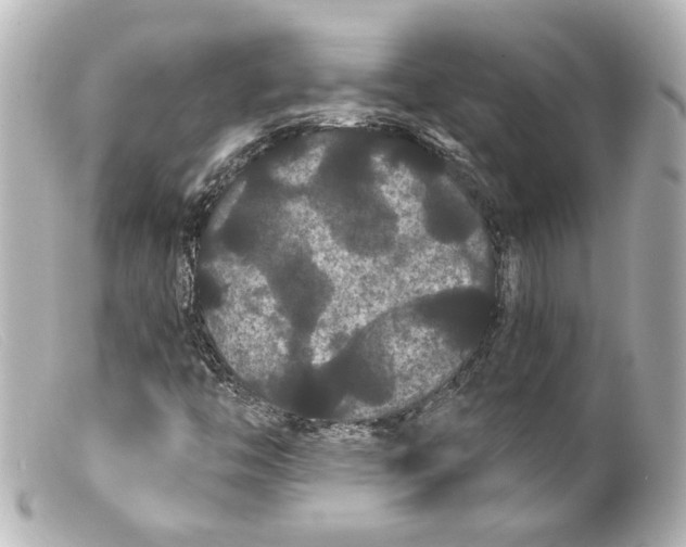 X0000099381446200805291119