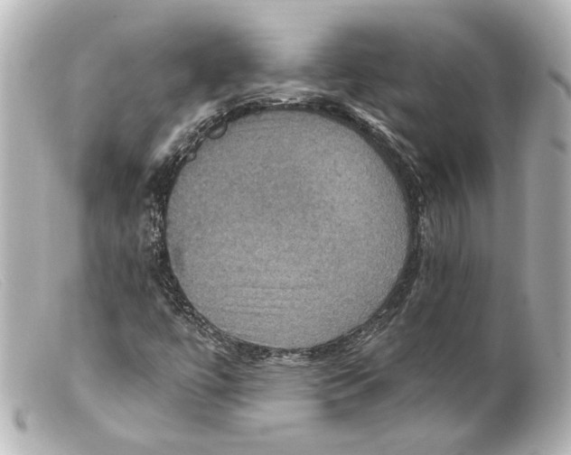 X0000099381447200805291119