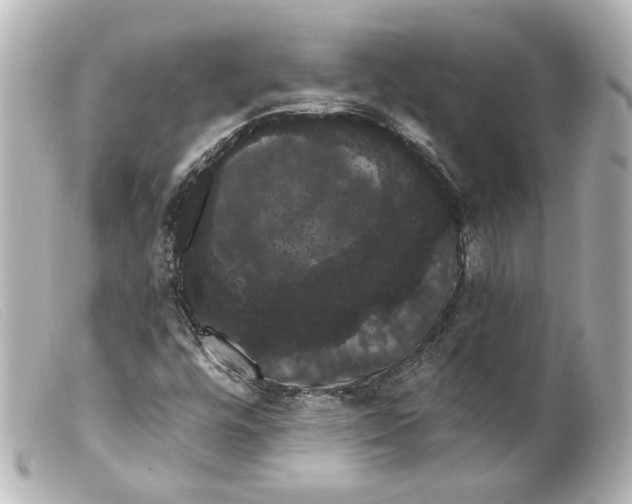 X0000099381448200805291118