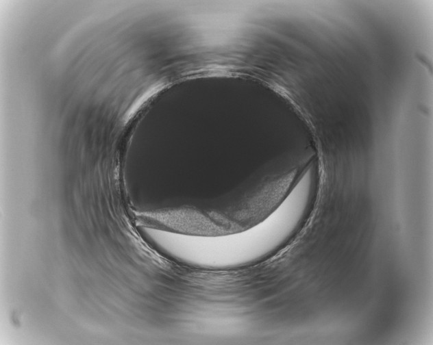 X0000099381450200805291118