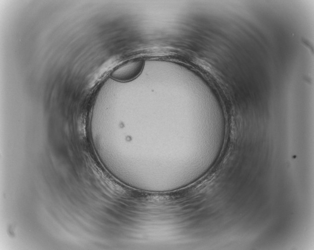 X0000099381451200805291118