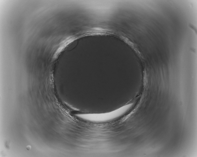 X0000099381453200805291118