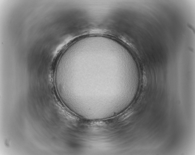 X0000099381454200805291118