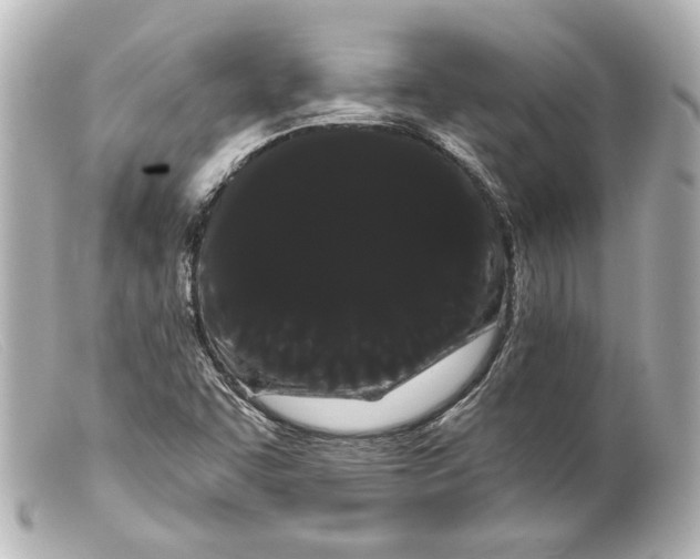 X0000099381455200805291118