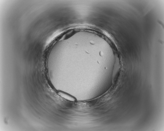 X0000099381456200805291118