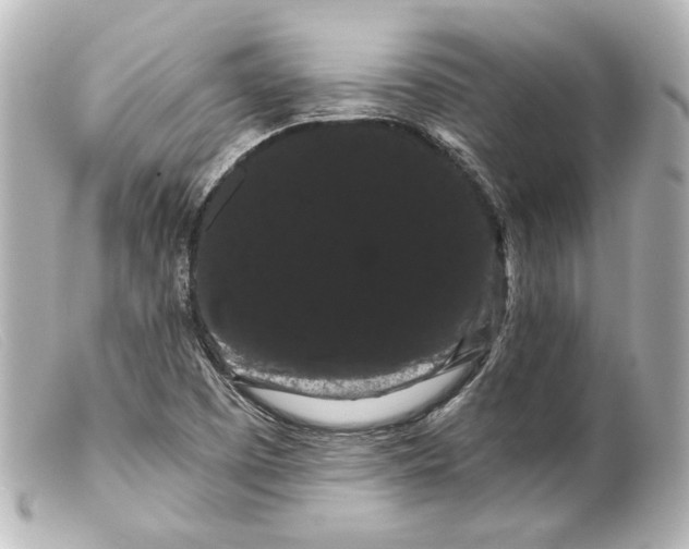 X0000099381457200805291118