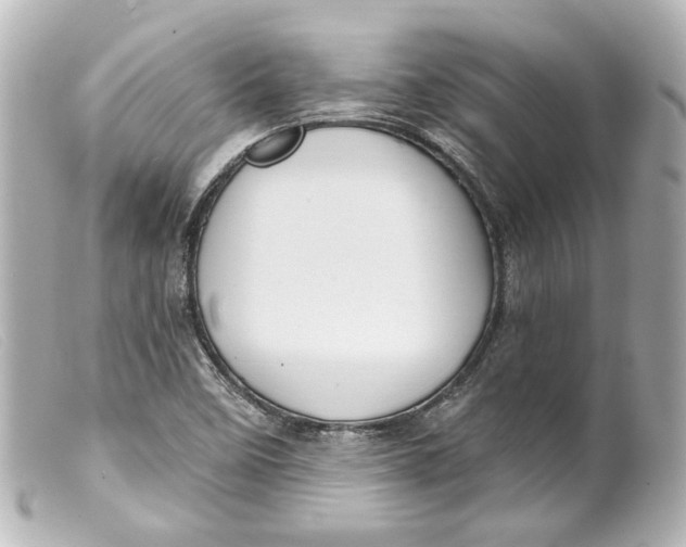 X0000099381458200805291118