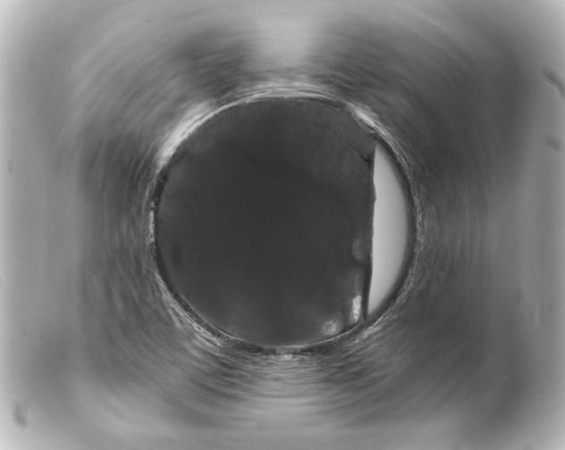 X0000099381459200805291118