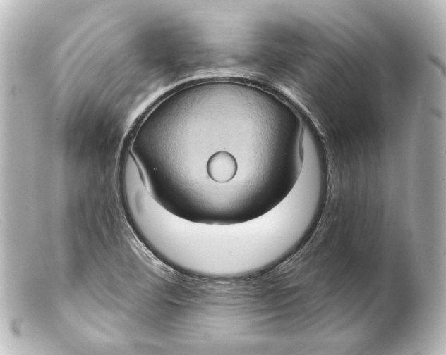 X0000099381460200805291118