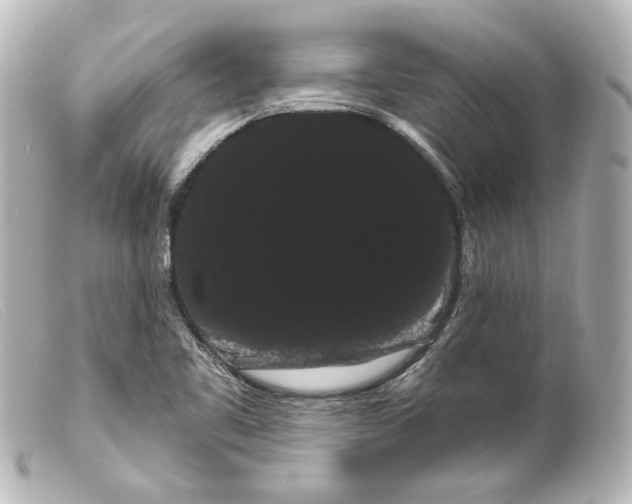 X0000099381461200805291118