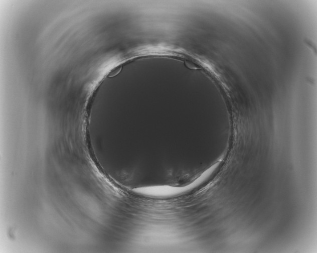 X0000099381463200805291118