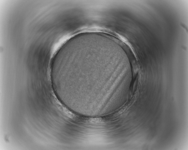 X0000099381464200805291118