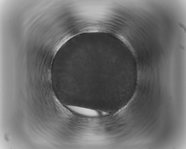 X0000099381465200805291118