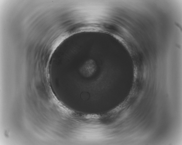 X0000099381466200805291118