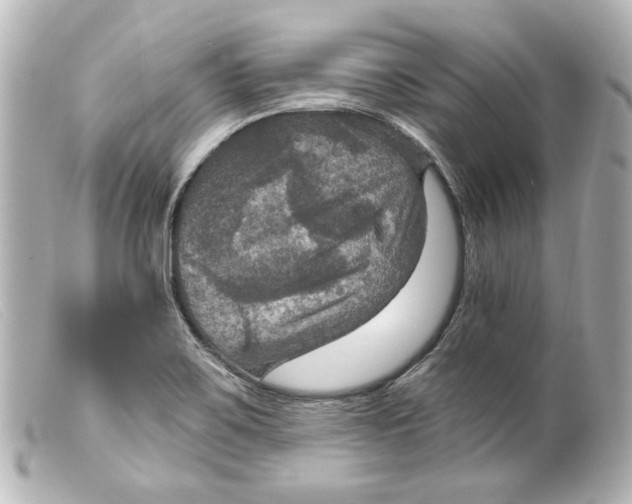 X0000099381467200805291118