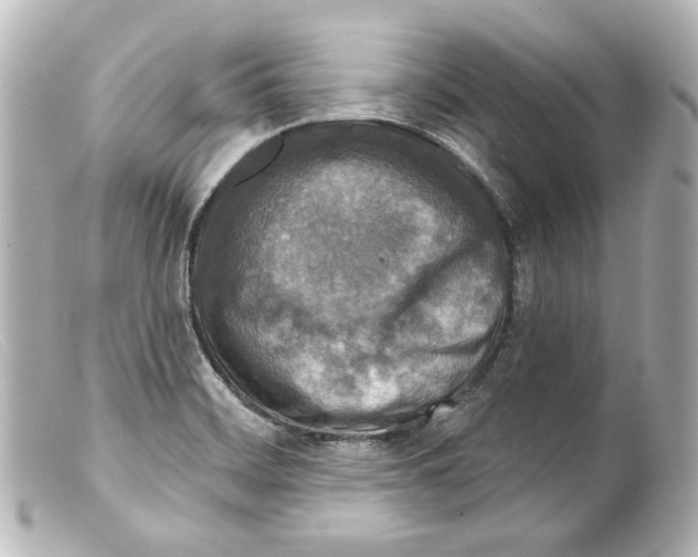 X0000099381468200805291118