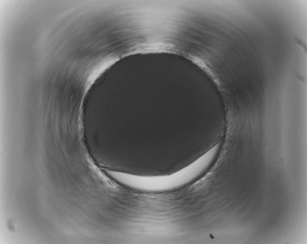 X0000099381469200805291118