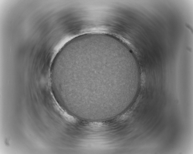 X0000099381470200805291118