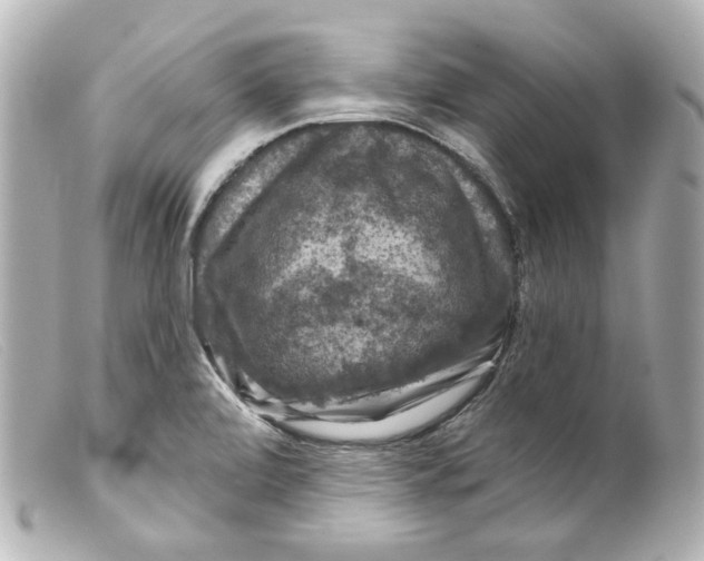 X0000099381472200805291118