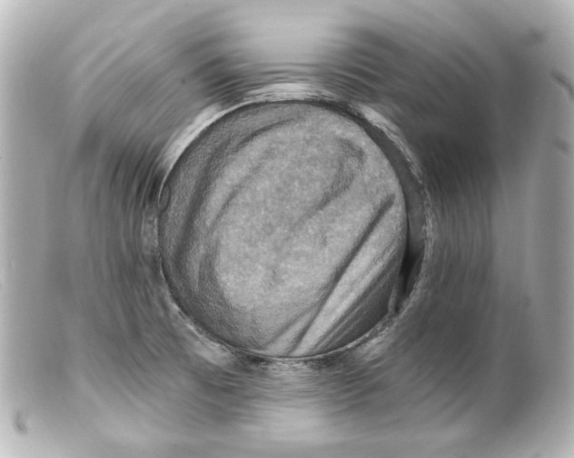 X0000099381473200805291118