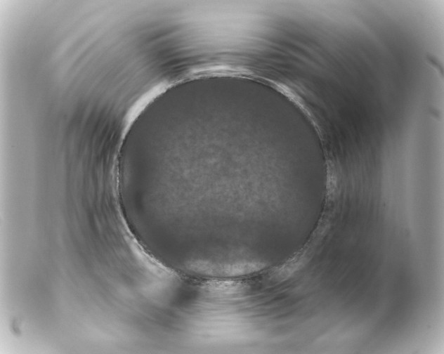 X0000099381474200805291118