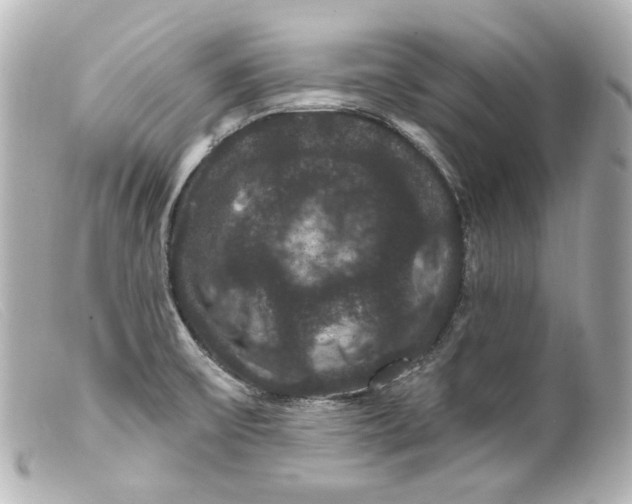 X0000099381475200805291118