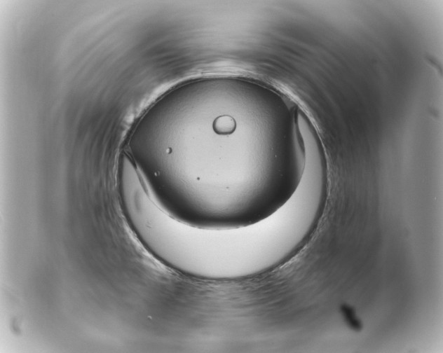 X0000099381477200805291118