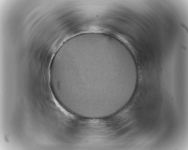 X0000099381479200805291118