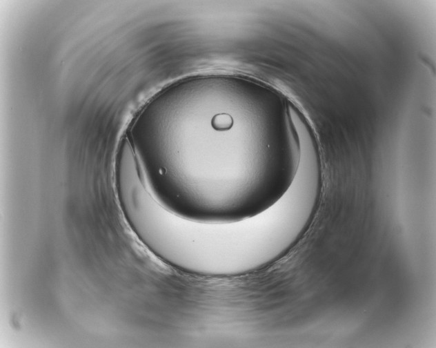 X0000099381480200805291118