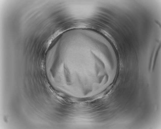 X0000099381481200805291118