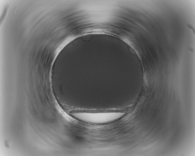 X0000099381482200805291118