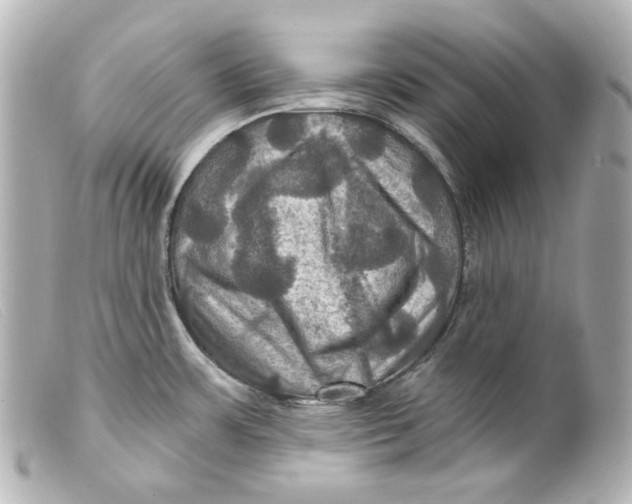 X0000099381483200805291118