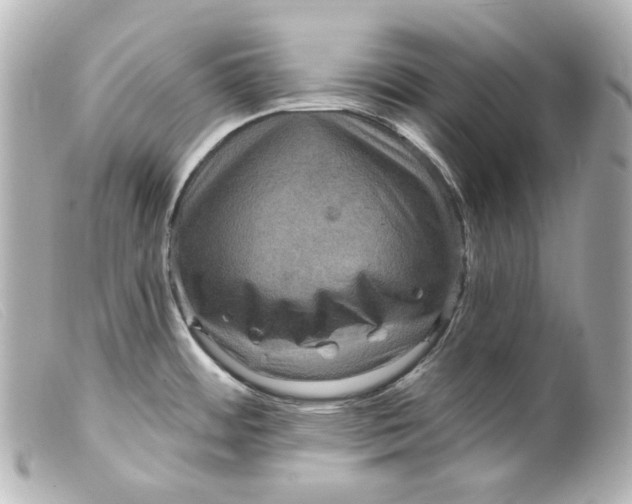 X0000099381484200805291118