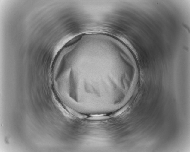 X0000099381485200805291118