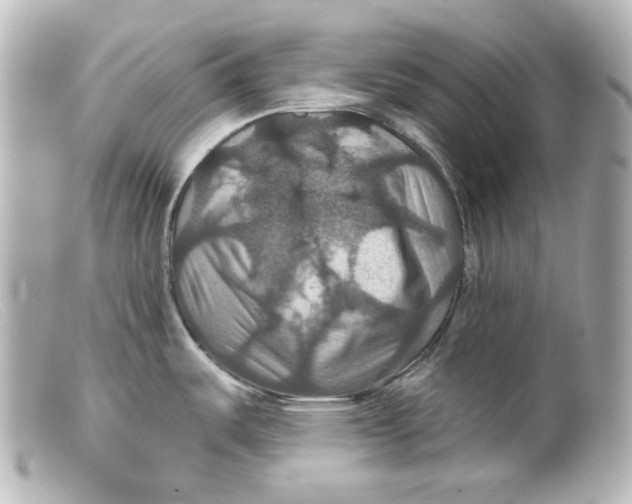 X0000099381487200805291118