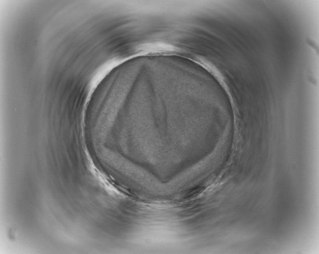 X0000099381488200805291118