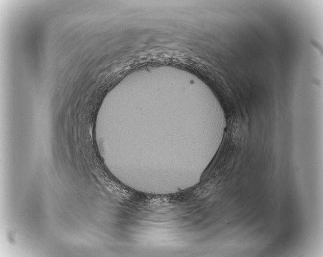 X0000099381489200805291117