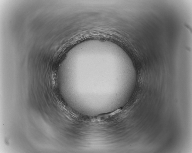 X0000099381490200805291117