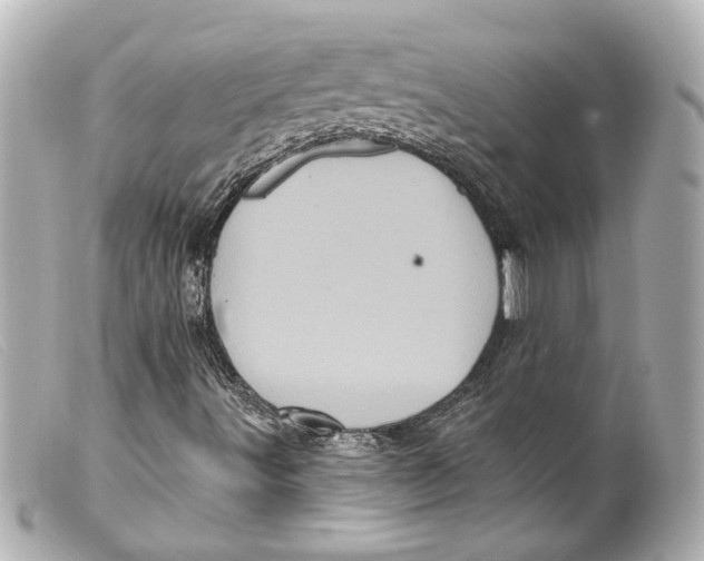 X0000099381491200805291117