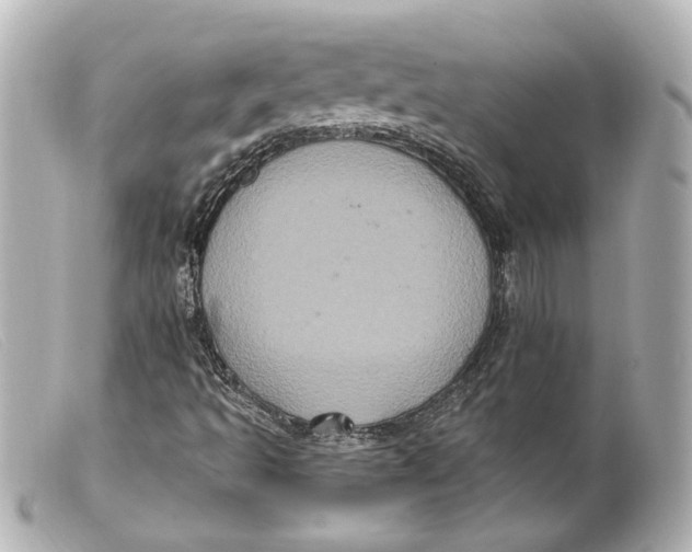 X0000099381493200805291117