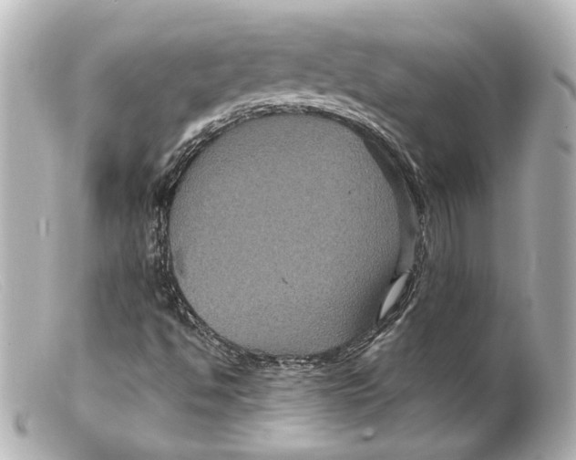 X0000099381494200805291117