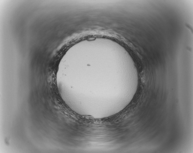 X0000099381495200805291117