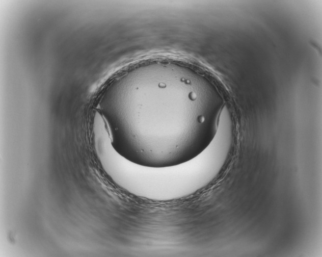 X0000099381496200805291117