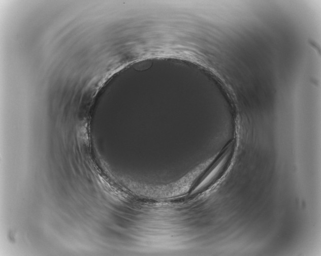 X0000099381497200805291117