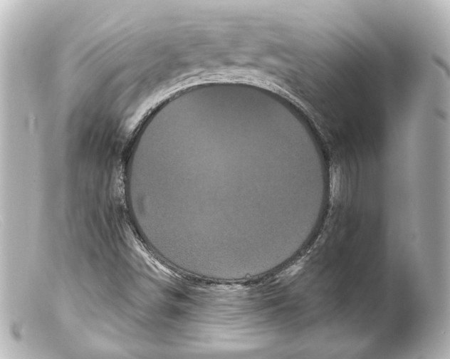 X0000099381498200805291117